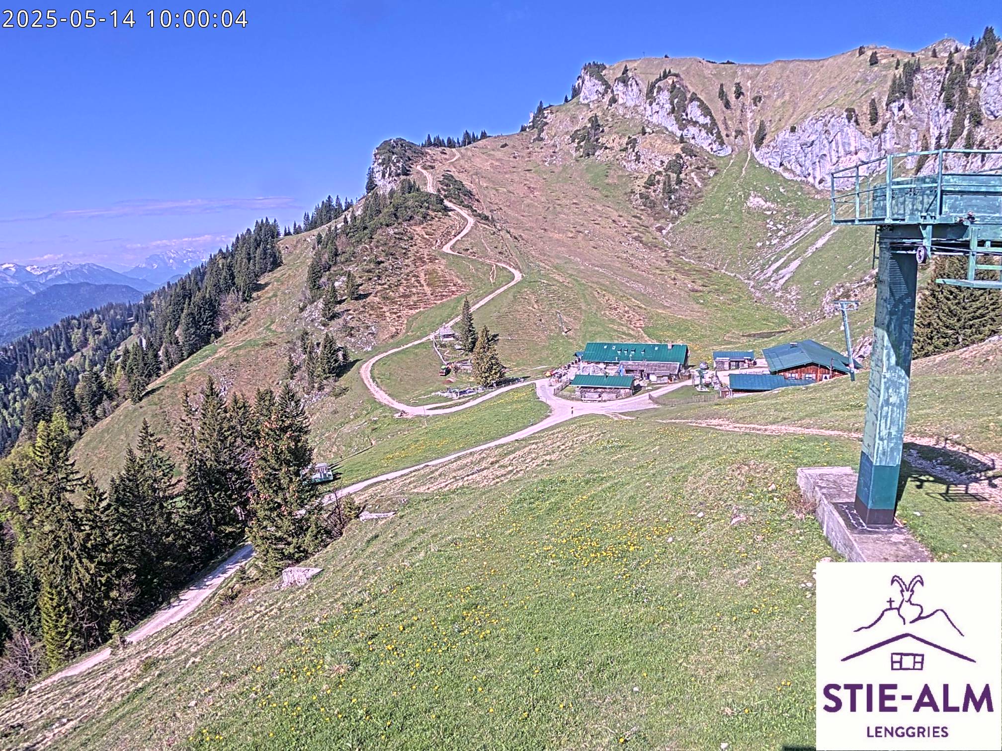 Stie-Alm Webcam Blick vom Idealhang