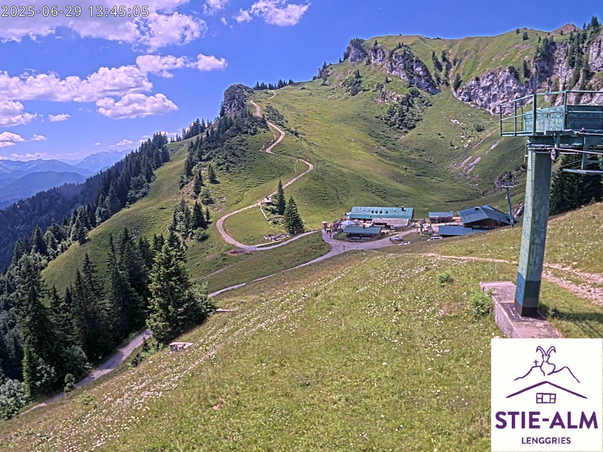 Stie-Alm Webcam Blick vom Idealhang