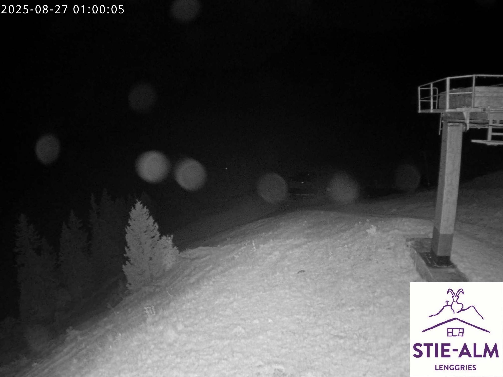 Stie-Alm Webcam Blick vom Idealhang