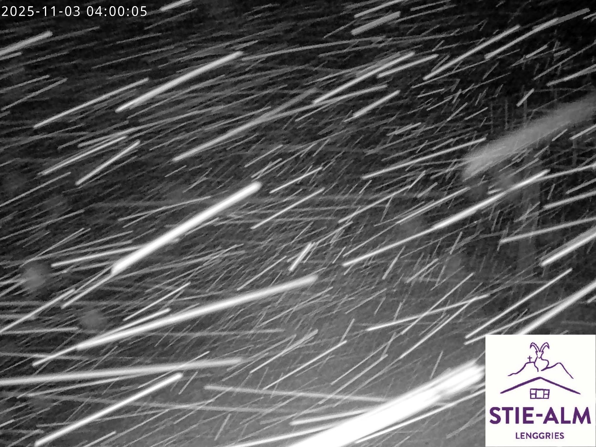 Stie-Alm Webcam Blick vom Idealhang