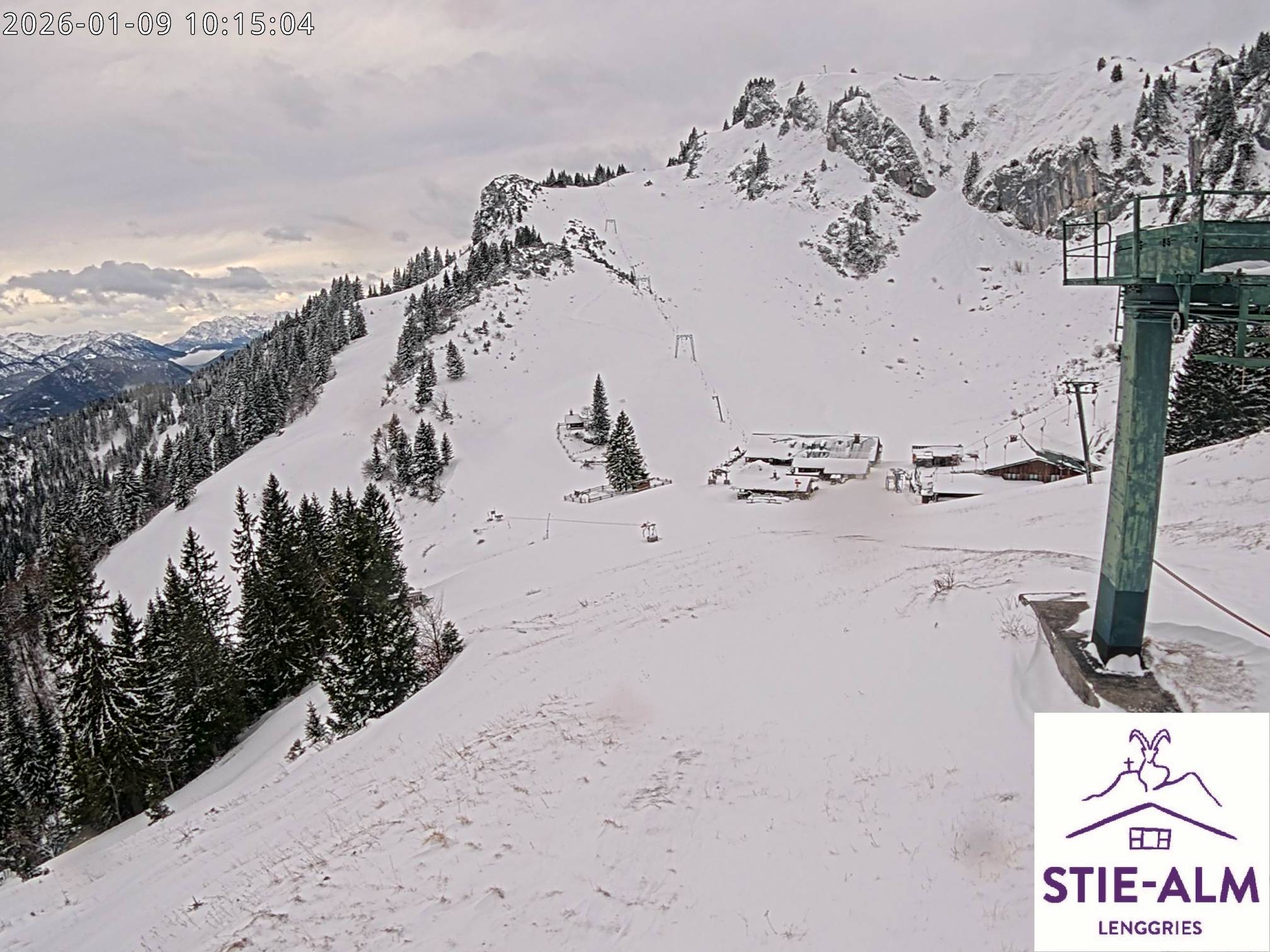 Stie-Alm Webcam Blick vom Idealhang