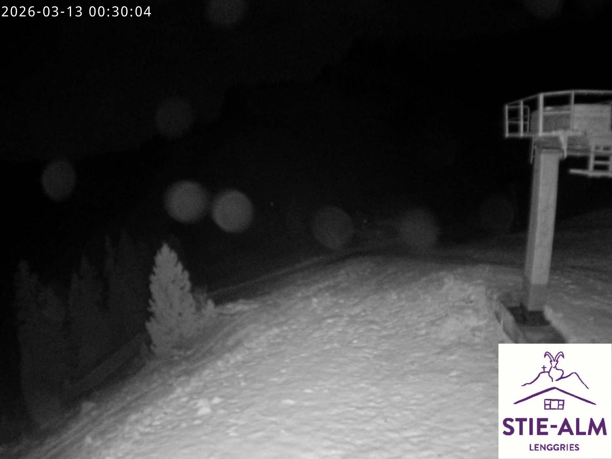 Stie-Alm Webcam Blick vom Idealhang