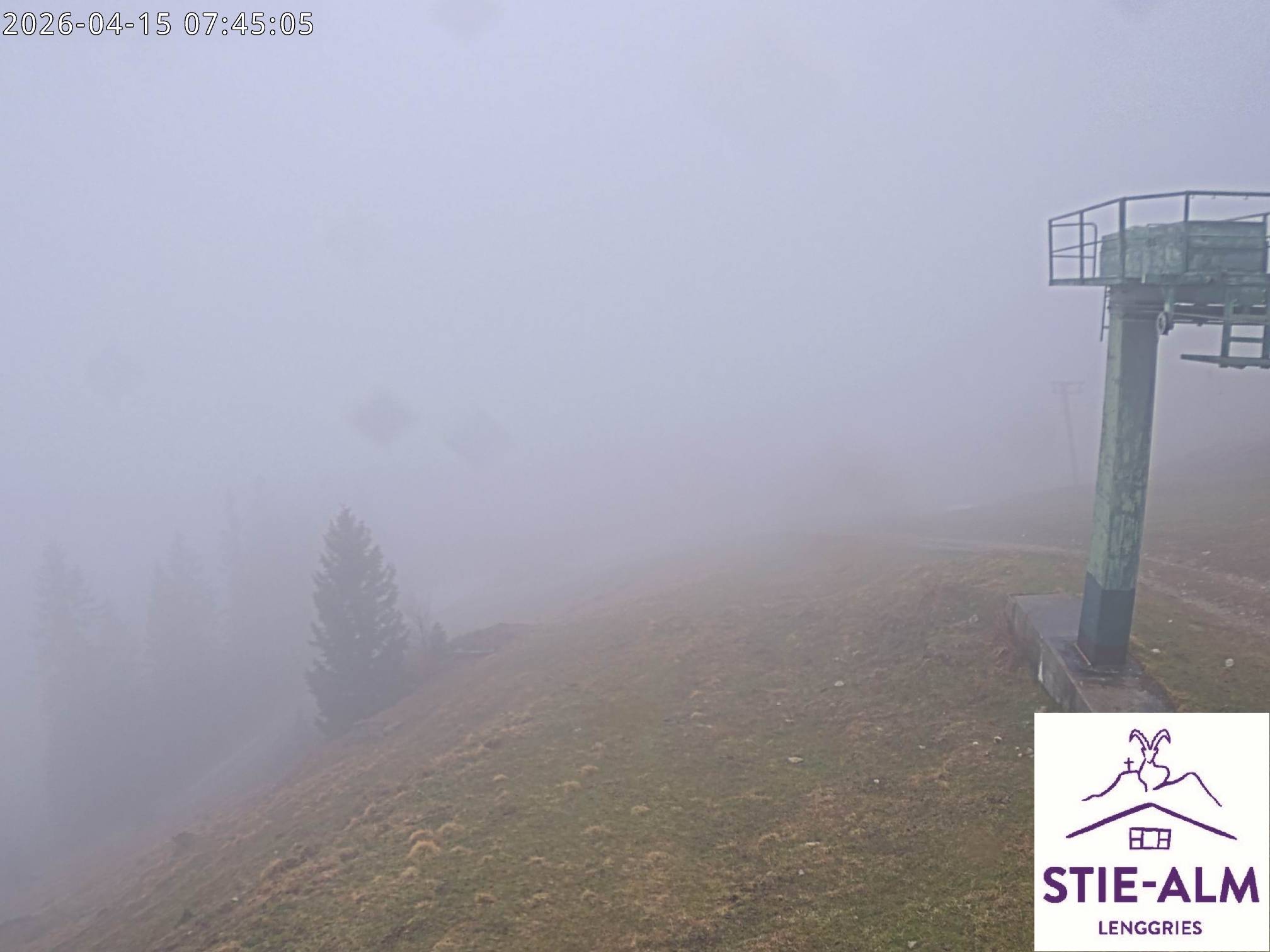 Stie-Alm Webcam Blick vom Idealhang
