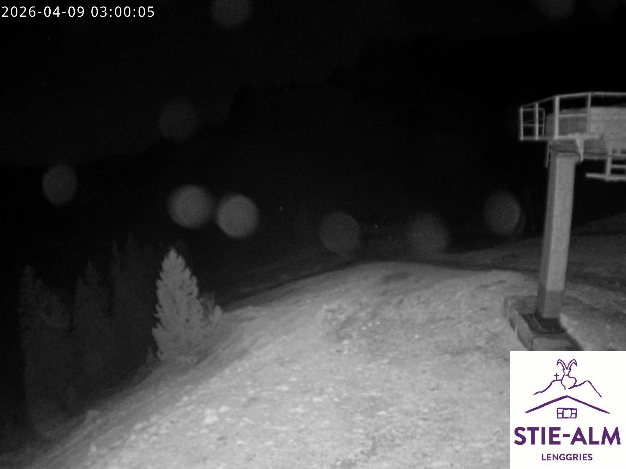 Stie-Alm Webcam Blick vom Idealhang