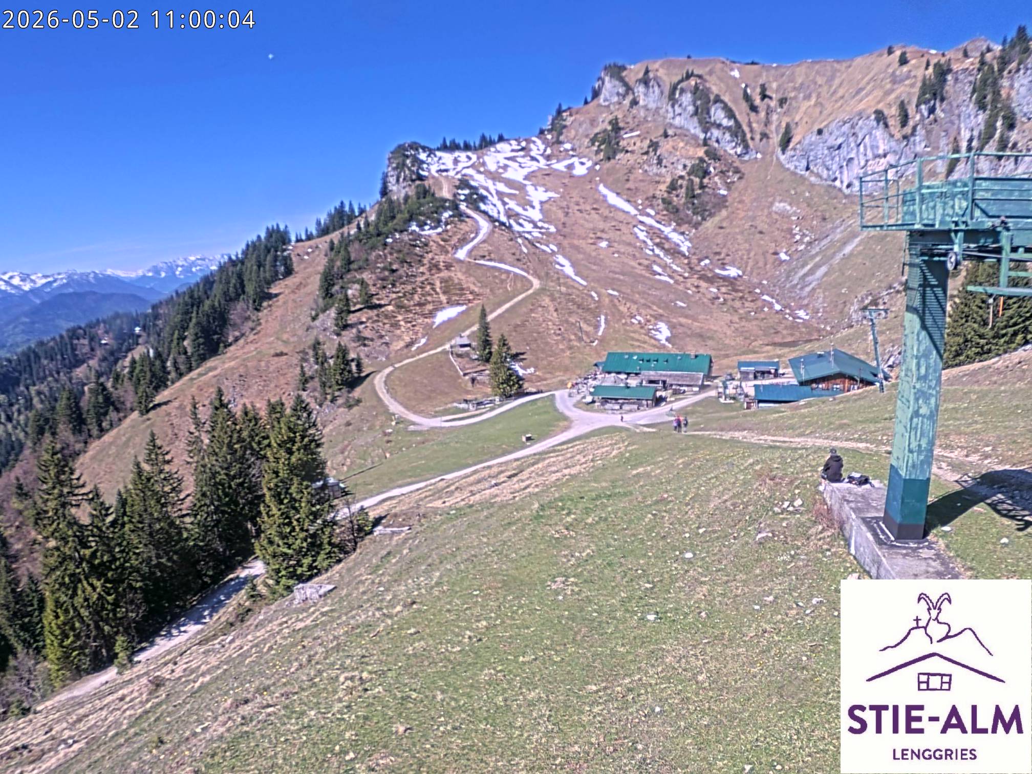 Stie-Alm Webcam Blick vom Idealhang